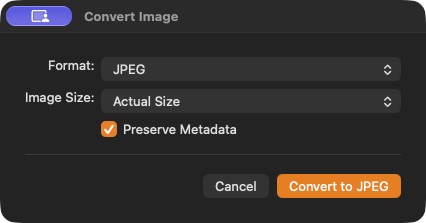 The native Convert Image dialogue with JPEG, size and metadata choices.