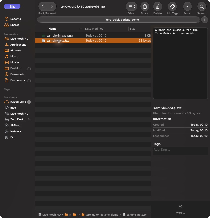 Finder Preview pane for a plain text file showing fewer Quick Action buttons.